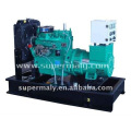 CE genehmigt 8kw bis 160kw ricardo Generator